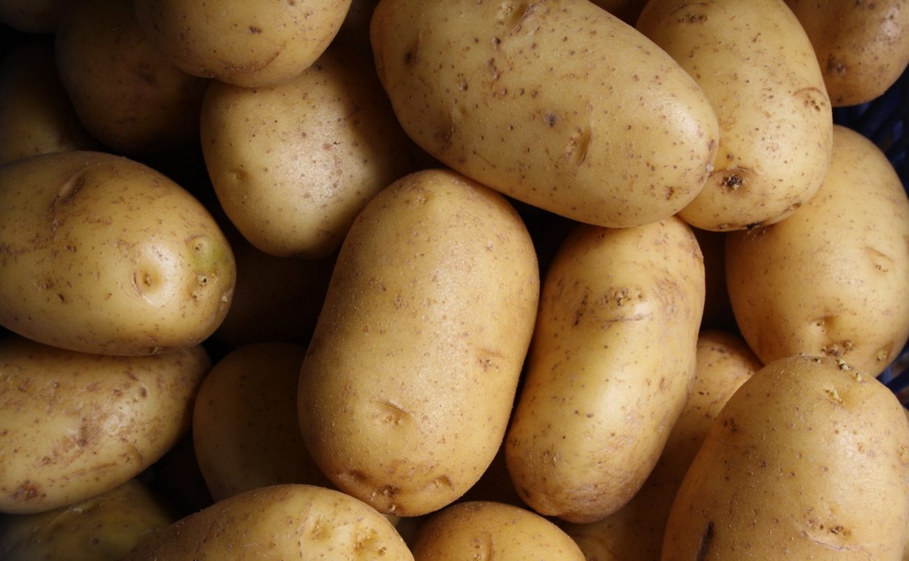 Wie lagert man am besten Kartoffeln? 5 Tipps für die richtige