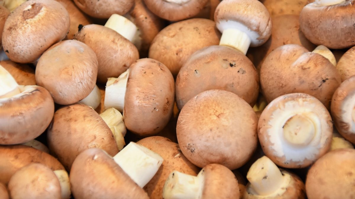 Wie erkennt man, ob Champignons noch gut sind?