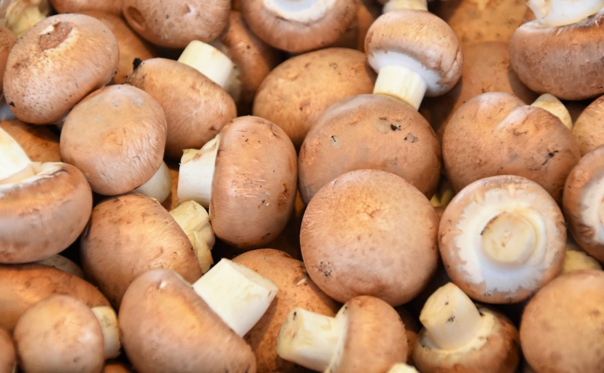 Wie erkennt man, ob Champignons noch gut sind? - Küchenfinder