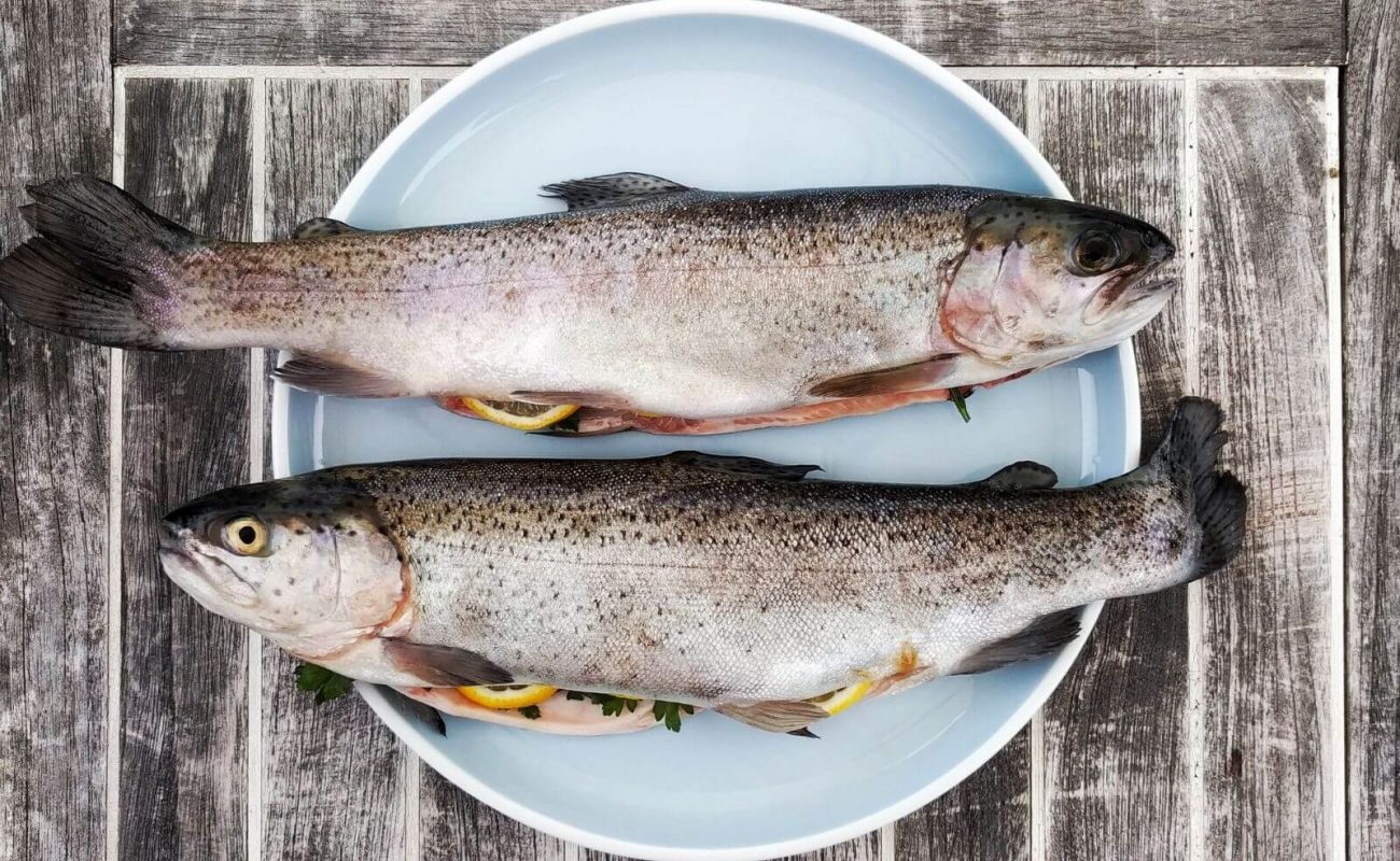 Forelle im Backofen Rezept, Zutaten, Zubereitung Küchenfinder