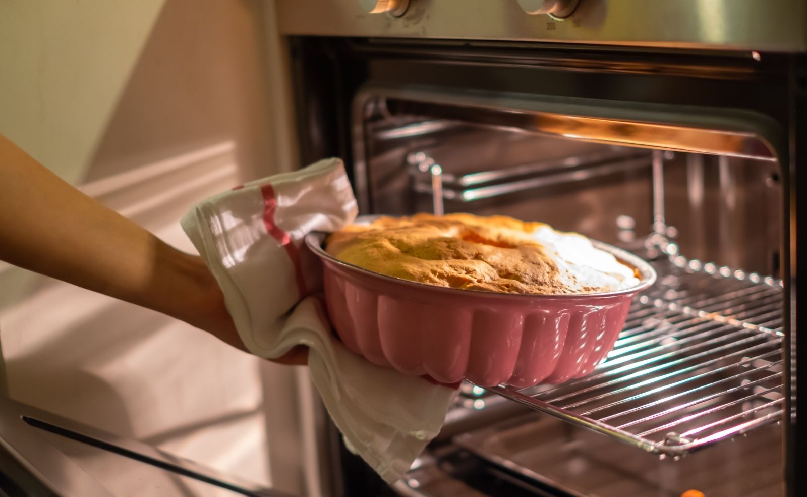 Можно выпекать в микроволновке. Baking Oven. Выпекание в духовке красители. Oven Baked. Духовка которая печет пироги и торта.