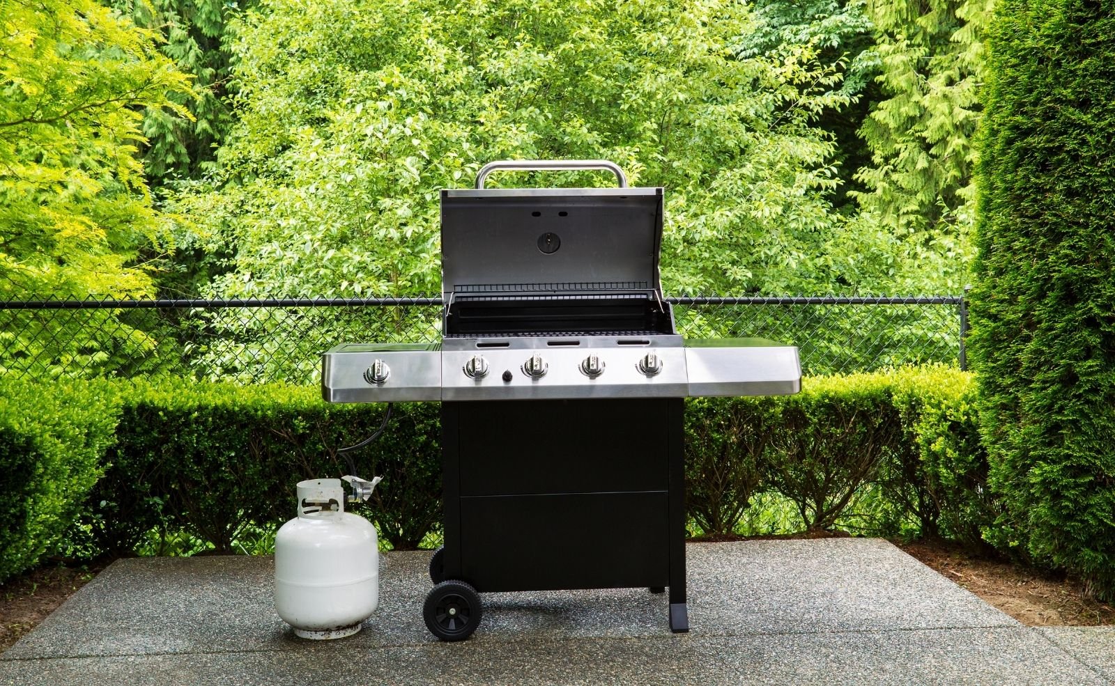 Elektrogrill oder Gasgrill? Was ist besser? Küchenfinder