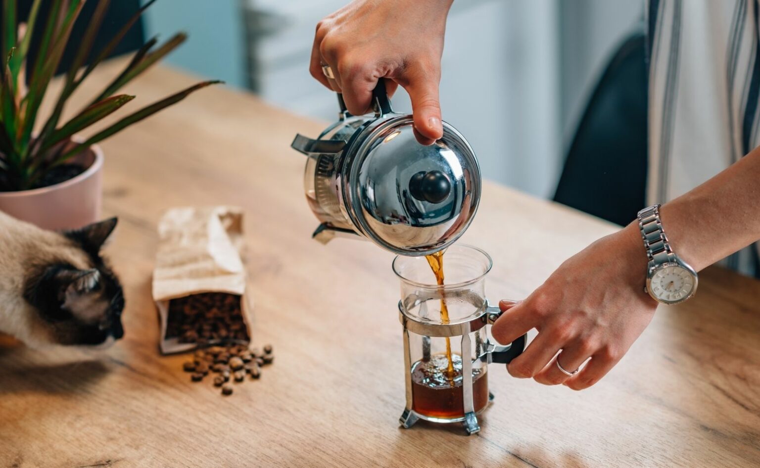 Wie kocht man Kaffee mit Bodum Kaffeebereiter? - Küchenfinder