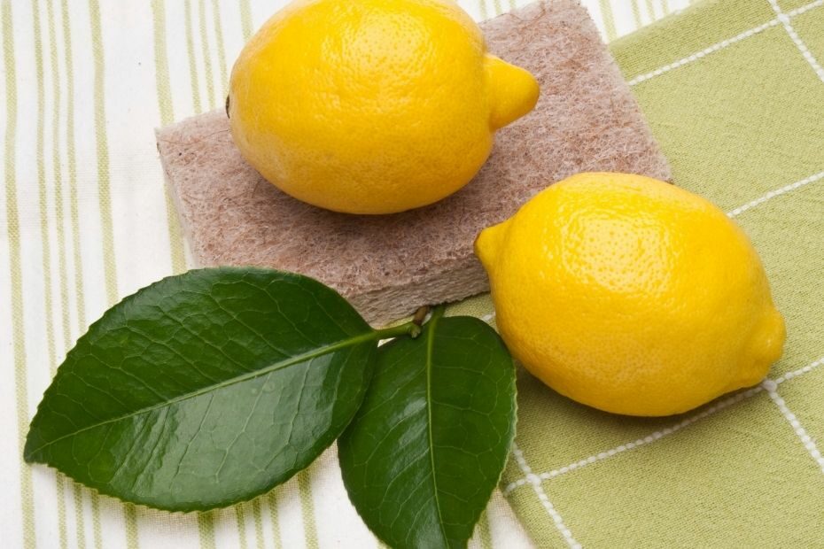 Backofen mit Zitrone reinigen