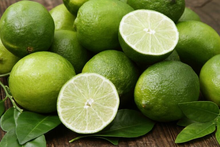 Was ist der Unterschied von Limette und Zitrone? Küchenfinder