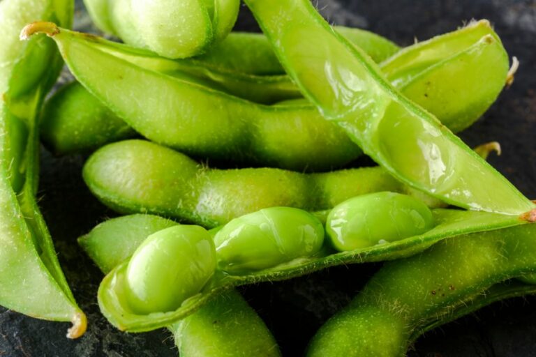 Edamame richtig zubereiten Küchenfinder